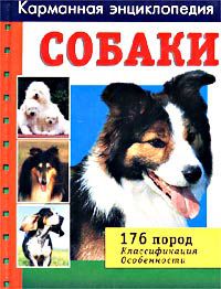 Собаки, Валерия Комаскелла