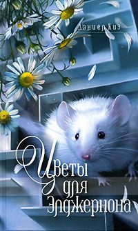 Цветы для Элджернона, Дэниел Киз