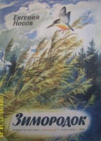 Зимородок, Е. Носов