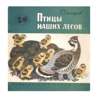 Птицы наших лесов, Г. Снегирев