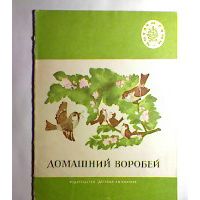 Домашний воробей, -