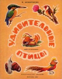 Удивительные птицы, И. Акимушкин