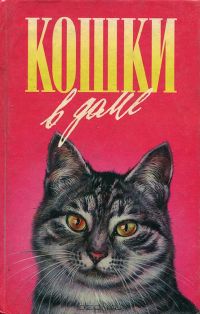 Кошки в доме, Дорин Тови