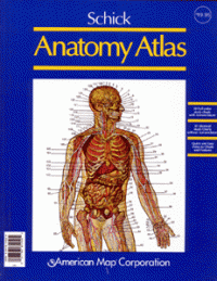 Schick Anatomy Atlas, цветной анатомический атлас на английском