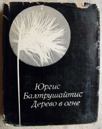 «Недостаток денег открыл глаза на мир»: как я с помощью „Экселя“ избавляюсь от привычки транжирить