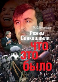 Режим М. Саакашвили: что это было?, Максим Григорьев