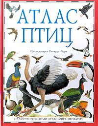 Атлас птиц, Барбара Тейлор